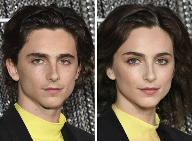 Timothée Chalamet