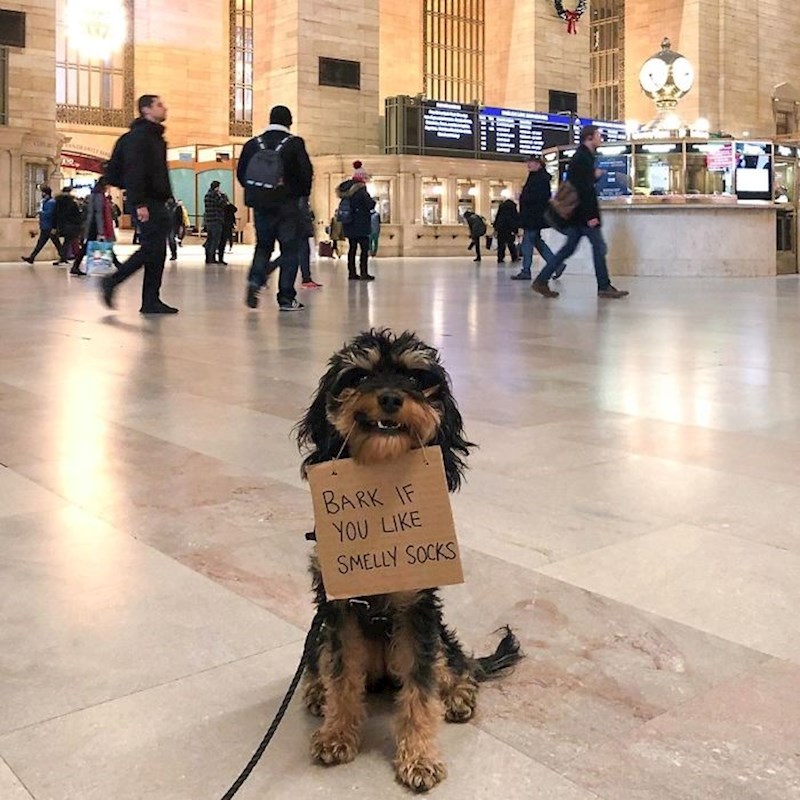 "Lajte ako volite smrdljive čarape"