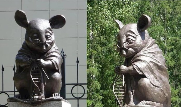 U Rusiji postoji spomenik podignut u čast laboratorijskim miševima koji su žrtvovani zbog znanstvenih istraživanja