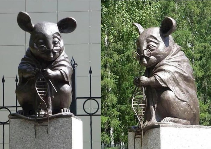 U Rusiji postoji spomenik podignut u čast laboratorijskim miševima koji su žrtvovani zbog znanstvenih istraživanja