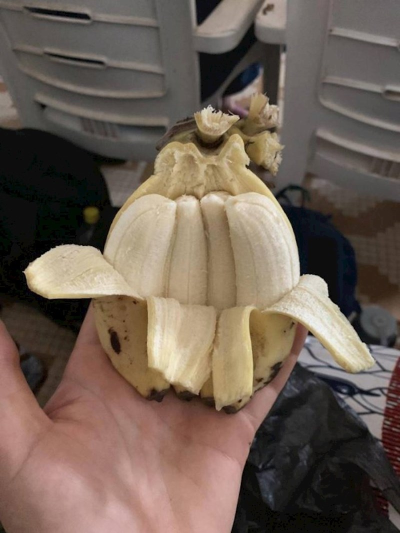 Spojene banane?!
