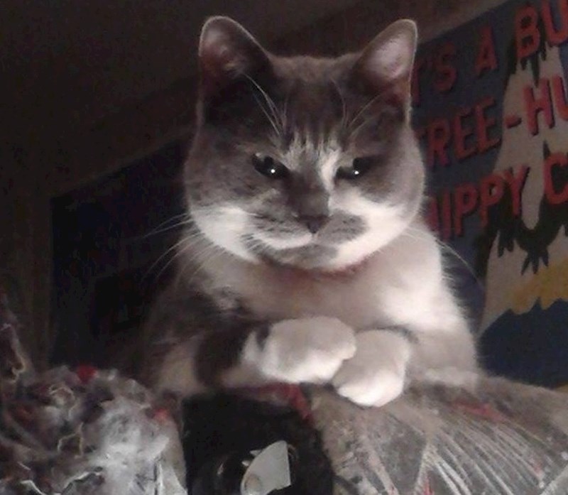 "O čemu razmišljam? Nebitno, vidjet ćeš uskoro."