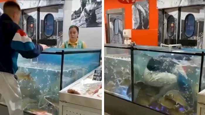 VIDEO Mladiću je prsten pao u akvarij pa je u supermarketu napravio čudnu scenu