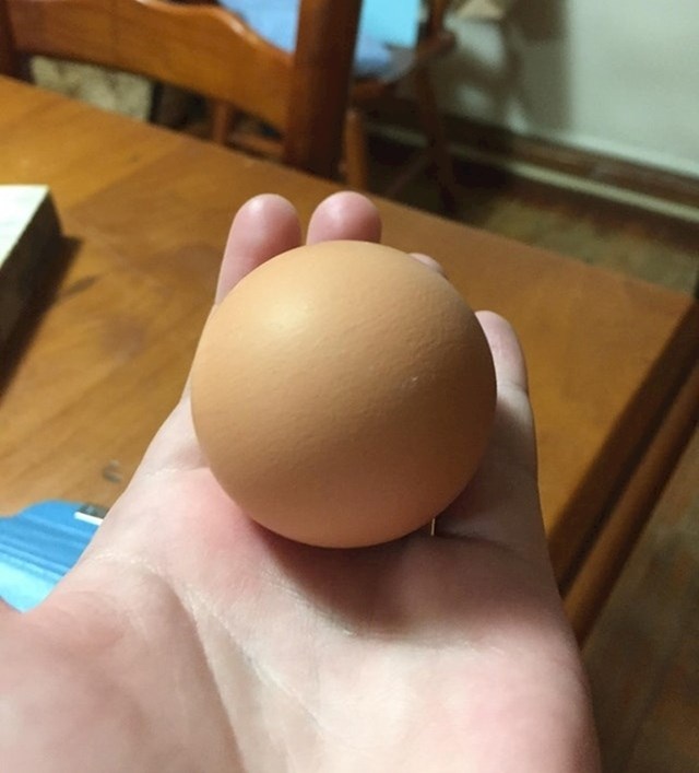 "Naša kokoš je snijela savršeno okruglo jaje!"