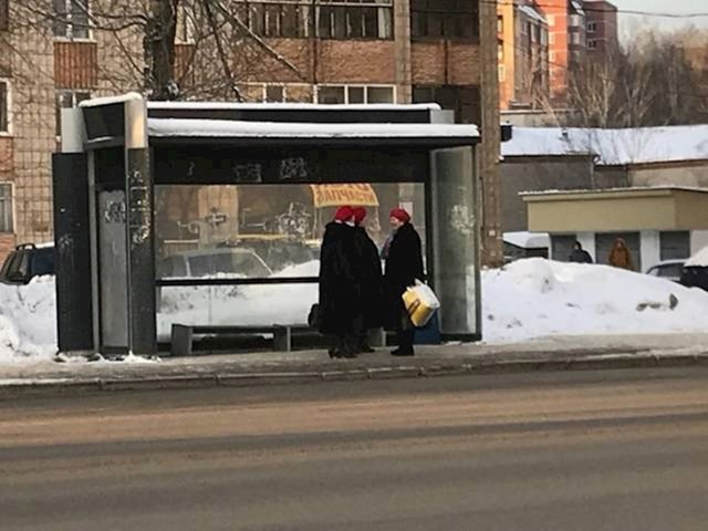 Klonovi na autobusnom stajalištu