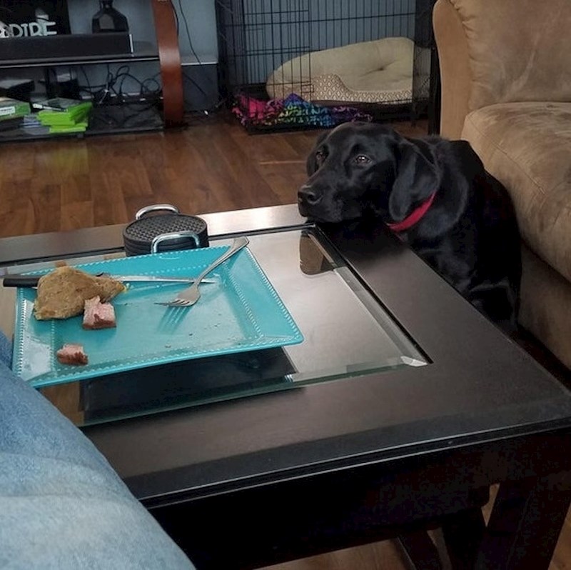 Kad si dobio svoju porciju, ali ne i desert.