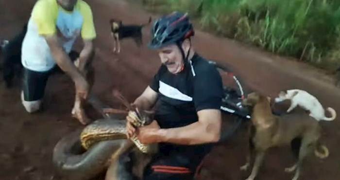 VIDEO Prolaznici su ugledali strašan prizor, morali su reagirati kad je anakonda počela gušiti psa