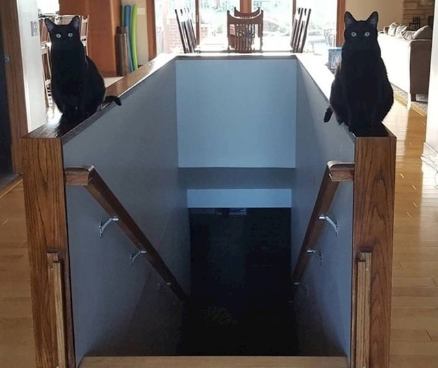 Ove stepenice do podruma ne bi izgledale toliko mistično da se crne mačke nisu rasporedile kao da je riječ o nekoj prečici do pakla.