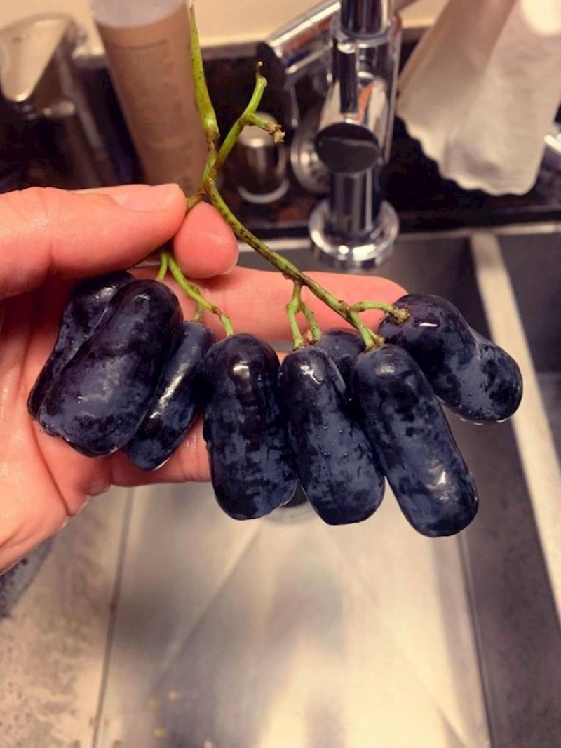 Jeste li ikad vidjeli ovakvo grožđe?