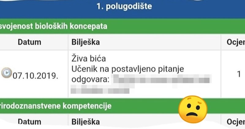 Profesorica je učeniku tijekom nastave postavila pitanje, ovakav odgovor nije očekivala