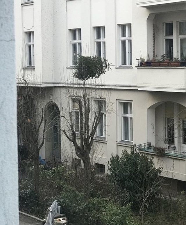 "Jedan od naših susjeda je mislio da je ok bacati božićno drvce s balkona. Ostalo je u granama."