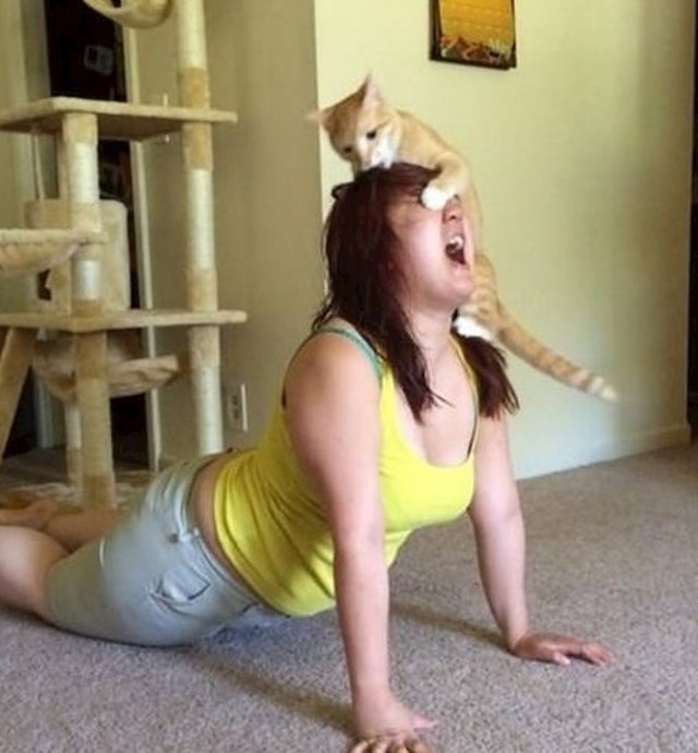 Pokušavala je vježbati kod kuće, no mačka je imala bolji plan.