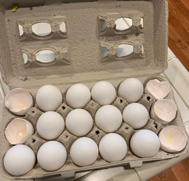 "Mrzim kad ovako ostavlja ljuske od jaja u kutiji i vrati je u hladnjak..."