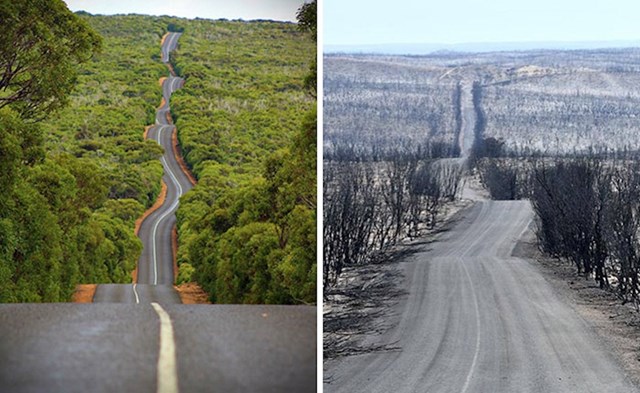 Kangaroo Island - prije i poslije
