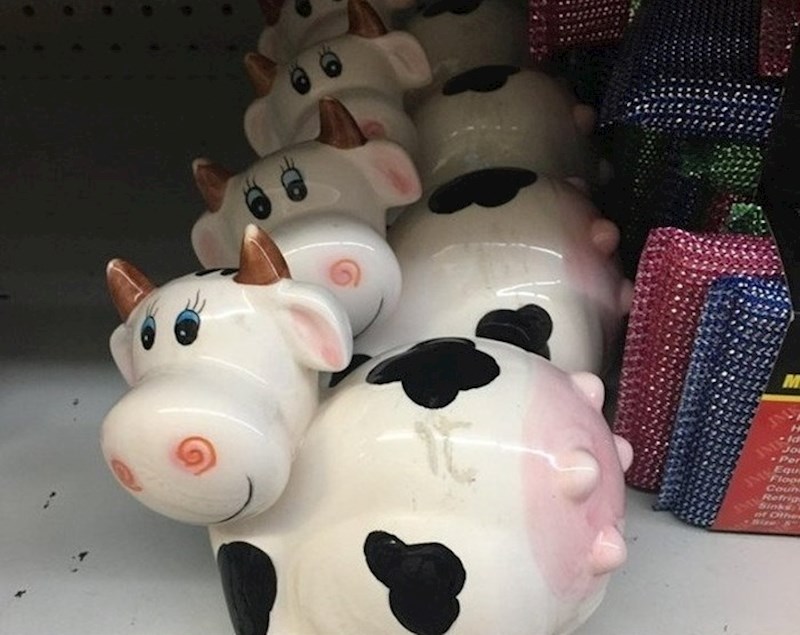 Proizvođač ne zna kako krava izgleda?