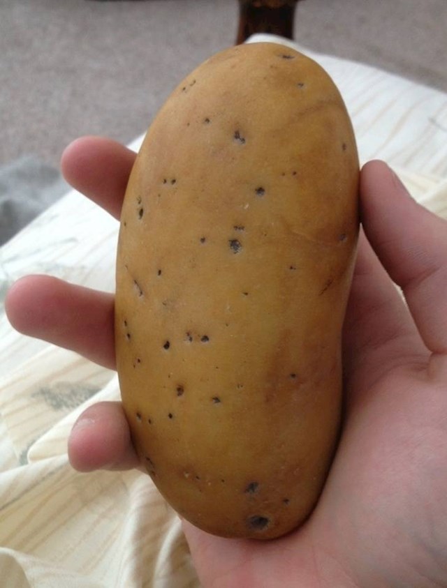 Ne, ovo nije krumpir. Ova osoba u ruci drži kamen.