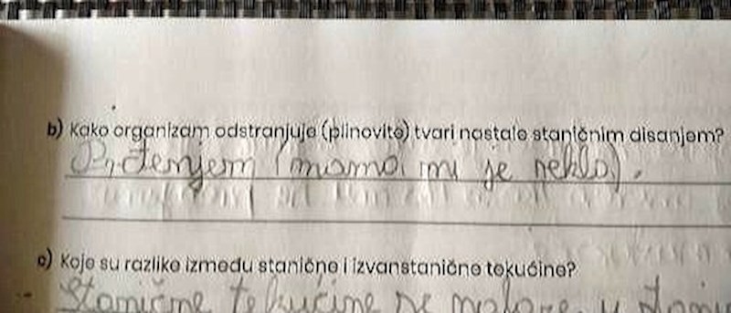 Ovakav odgovor profesorica nije očekivala: