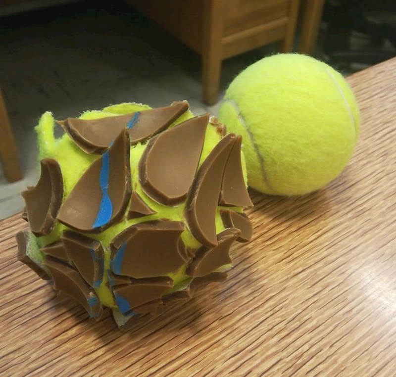 Unutrašnjost loptice za tenis izgleda kao da je od čokolade.