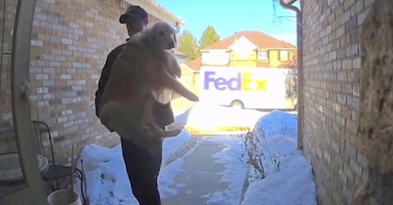 Obitelj je na snimci vidjela kako je dostavljač vraćao njenu odbjeglu retrivericu