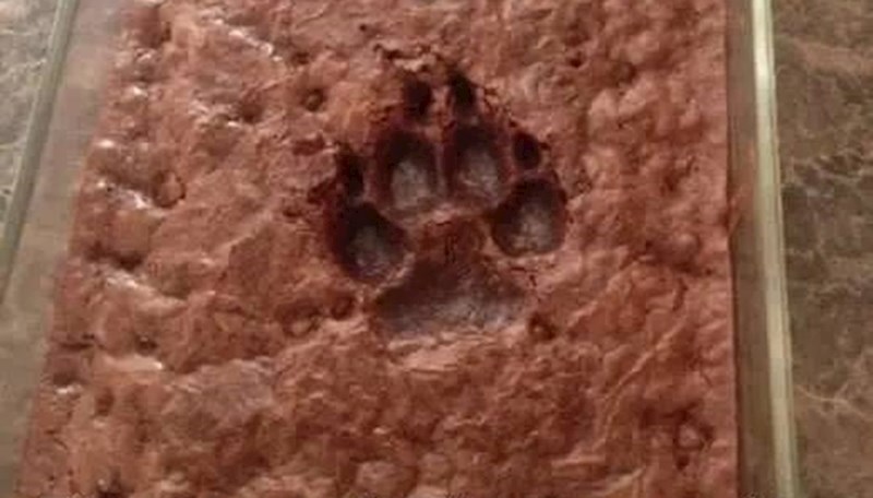 Nije im trebalo puno da saznaju tko je ovo učinio.