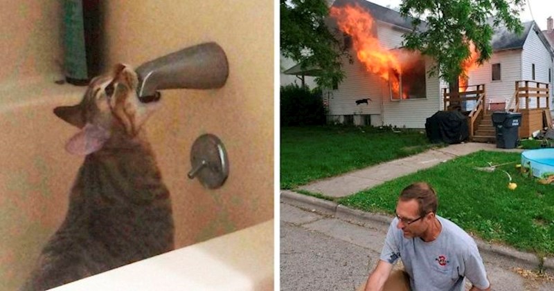 40 viralnih slika s mačkama koje će vam sigurno nabaciti osmijeh na lice