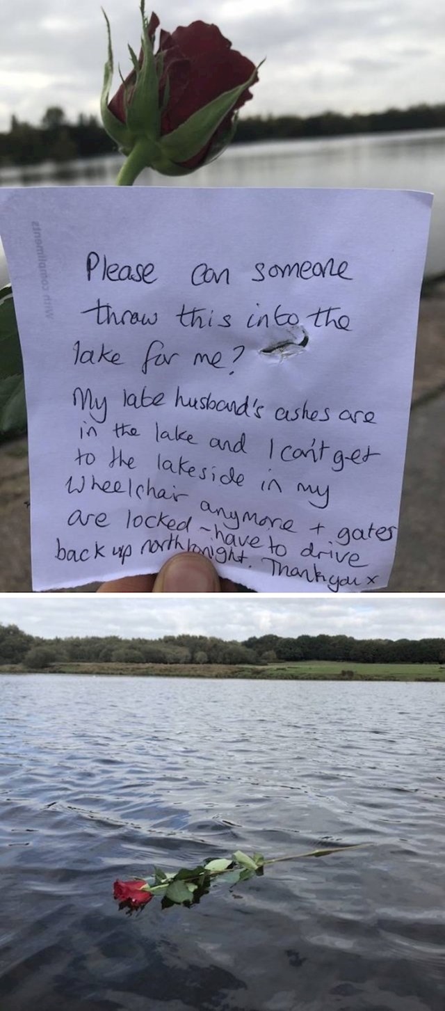 Žena koja je u invalidskim kolicima ostavila je ovo u blizini jezera. Zamolila je nekoga da umjesto nje baci ružu u jezero jer ona nije mogla. U jezeru je pepeo njenog preminulog muža. Osoba koja je pronašla poruku ispunila joj je želju.