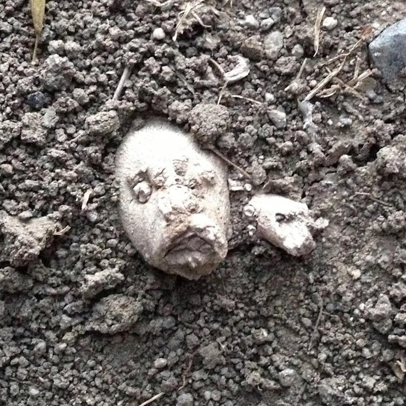 Ovo izgleda pomalo jezivo iako zapravo nije.