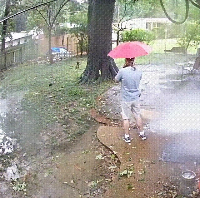 Izašao je van s psom pa skoro poginuo, pogledajte što mu se dogodilo u dvorištu!