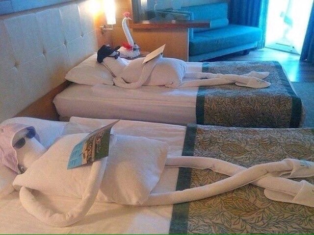 Kad su ušli u svoju hotelsku sobu, dočekao ih je zanimljiv prizor.