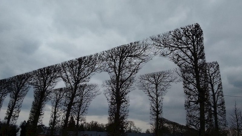 Savršeno skraćivanje grana