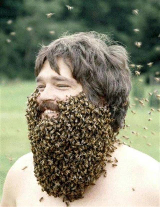 #11