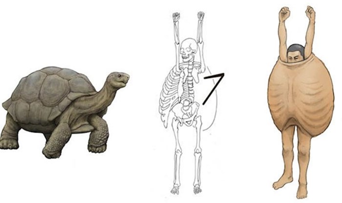Umjetnik je otkrio kako bi ljudi izgledaju da imaju građu tijela istu kao kod nekih životinja