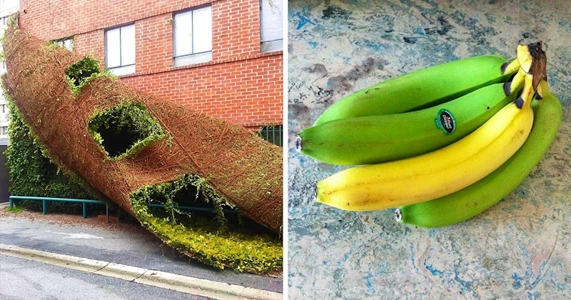 20 nesvakidašnjih fotografija koje izgledaju prečudno da bi bile istine