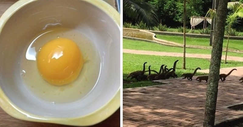 20 zanimljivih slika sa stvarima koje izgledaju kao nešto sasvim drugo