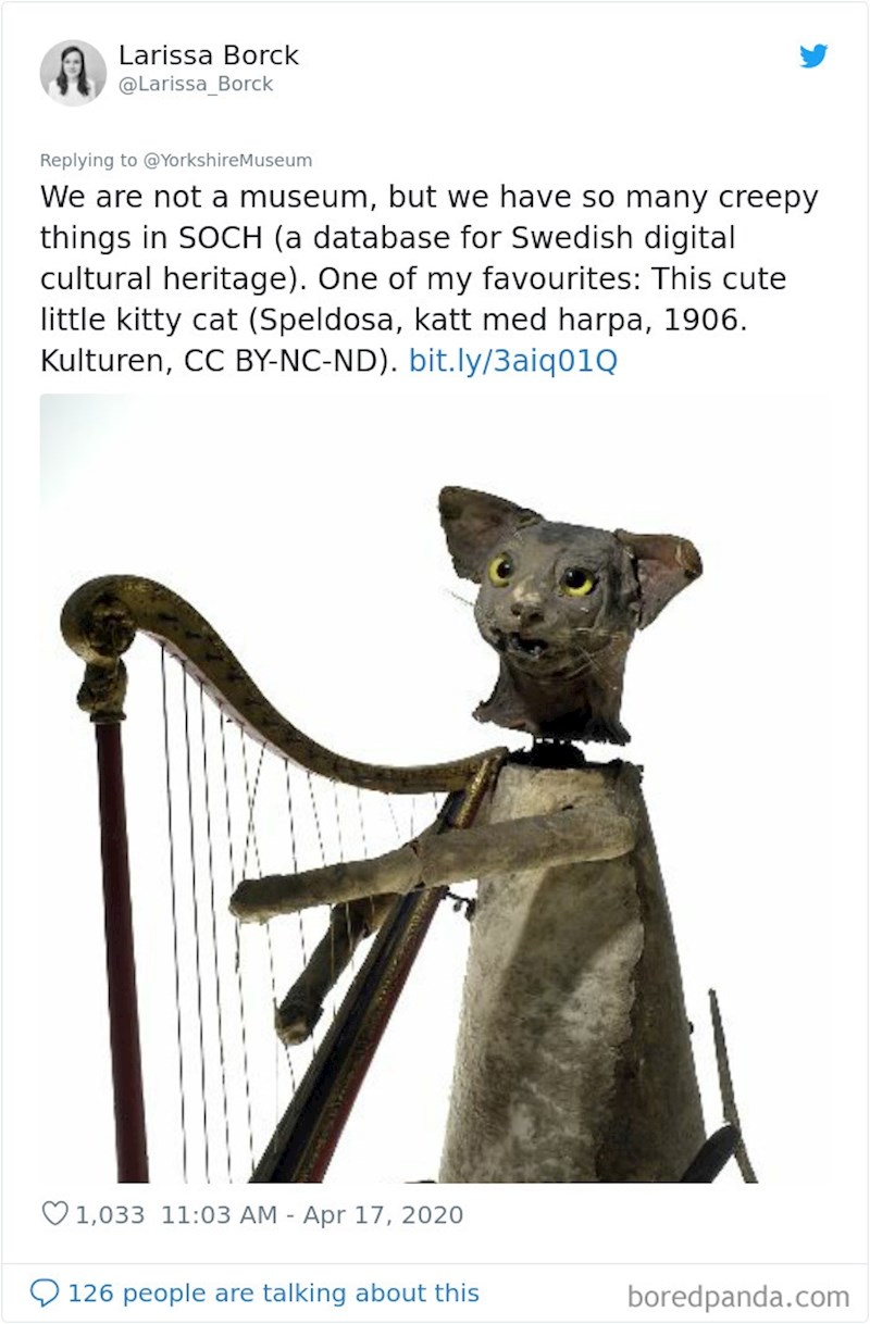 Iz Švedske stiže slika mačke koja svira harfu.