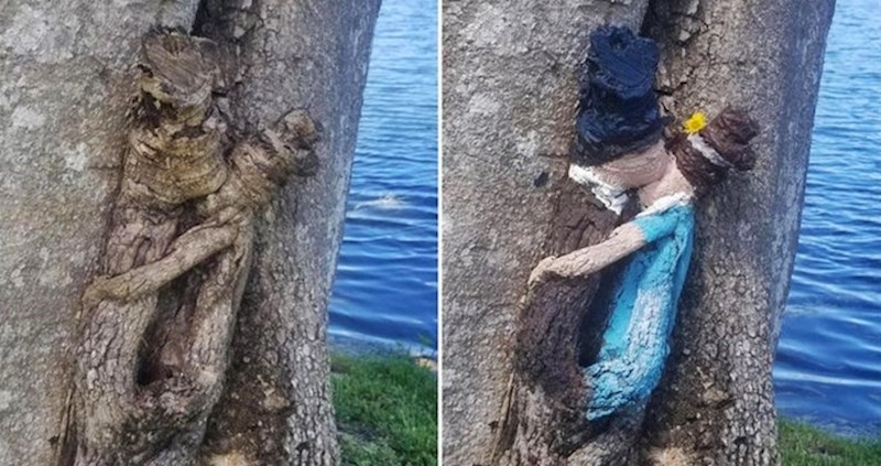 15 slučajeva kad je priroda privukla pažnju na vrlo zanimljiv način