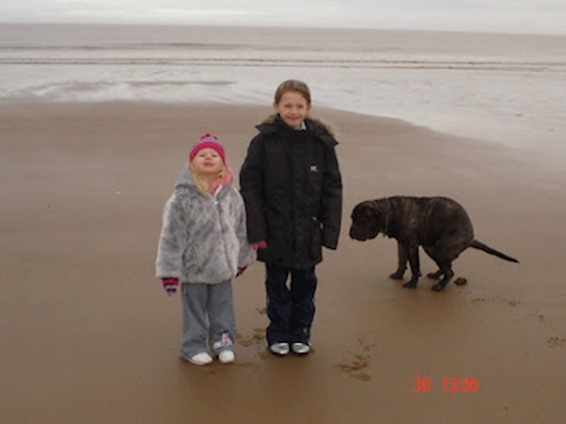 Mama je htjela slikati kćeri na plaži, a onda je pas pretvorio fotku u nešto sasvim drugo...