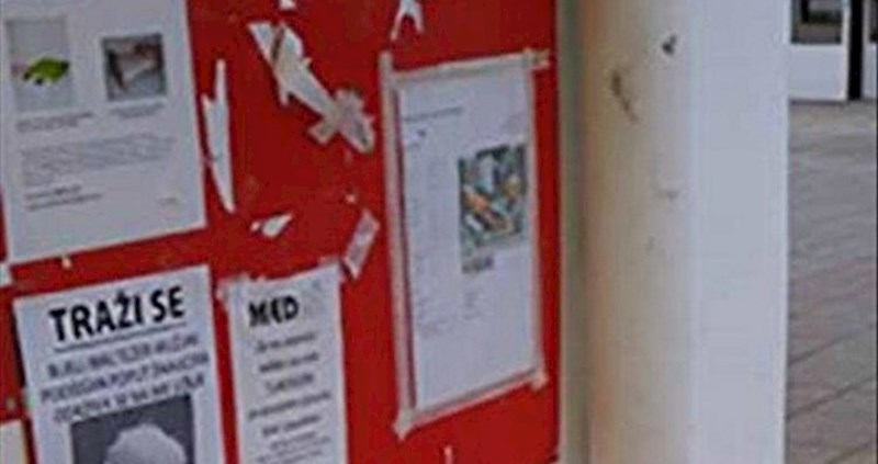 Prolaznik je kraj oglasne ploče primijetio prizor koji je morao podijeliti s ostalima