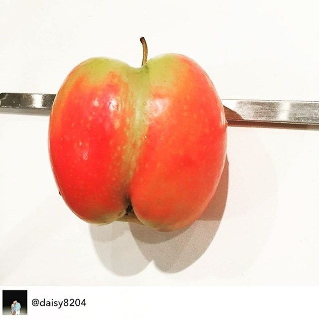 "nije htjela jesti jabuku jer izgleda kao guza."