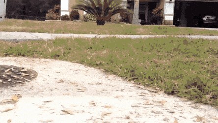 Što se to krije u kanalizaciji? Čovjek je uzeo mobitel, čučnuo i snimio nešto jezivo