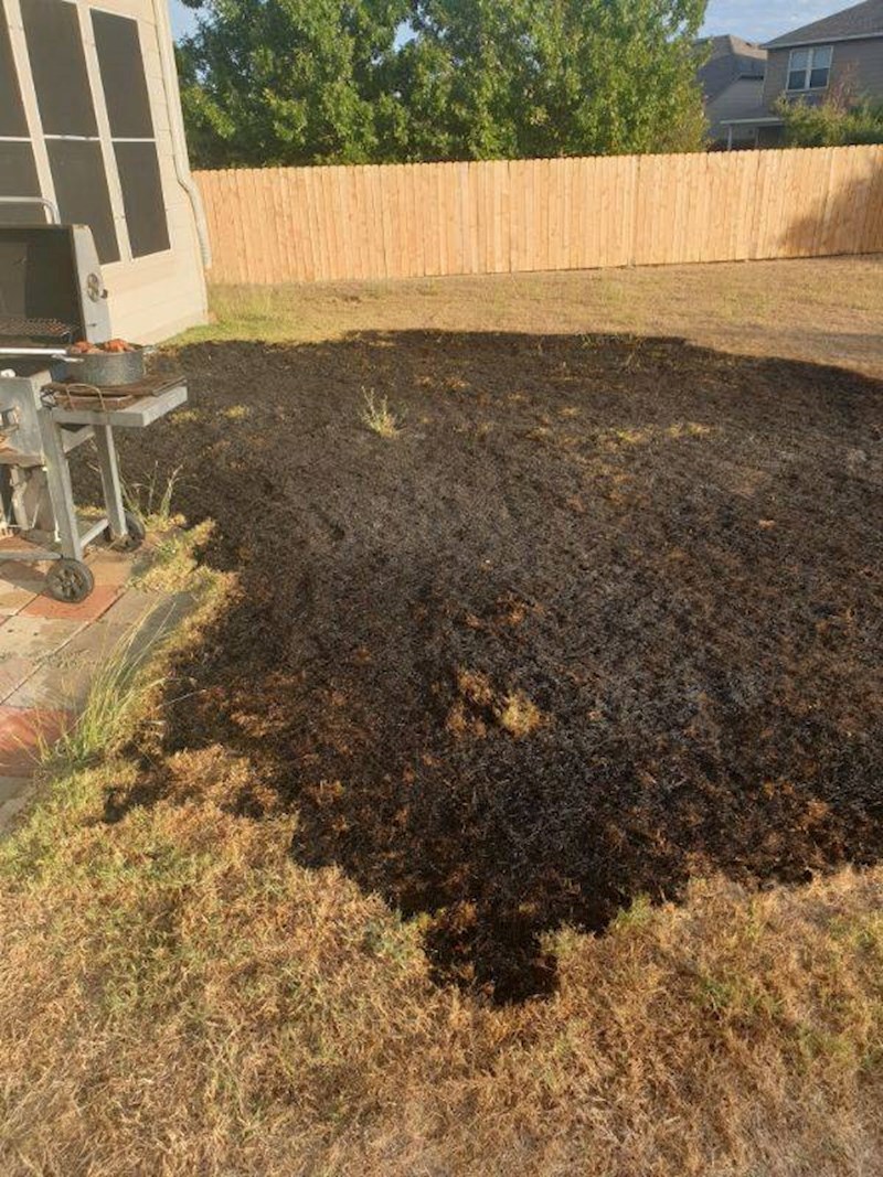 "Tata je zapalio vatru za roštilj prije nego što sam došla. Kasnije je zaboravio provjeriti je li sve ok."