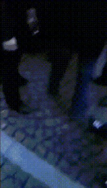 Svi se smiju ženi koja je htjela optužiti njemačku policajku za fizički napad, evo što se zapravo dogodilo