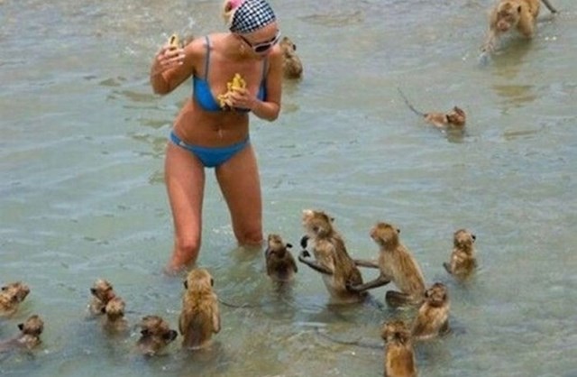 Najluđe slike s godišnjih odmora: Nećete vjerovati što neki ljudi rade na plažama #19