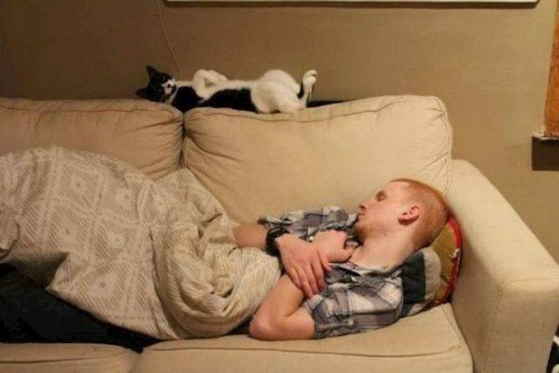 Mačke su ipak prvaci u spavanju u čudnim pozama.