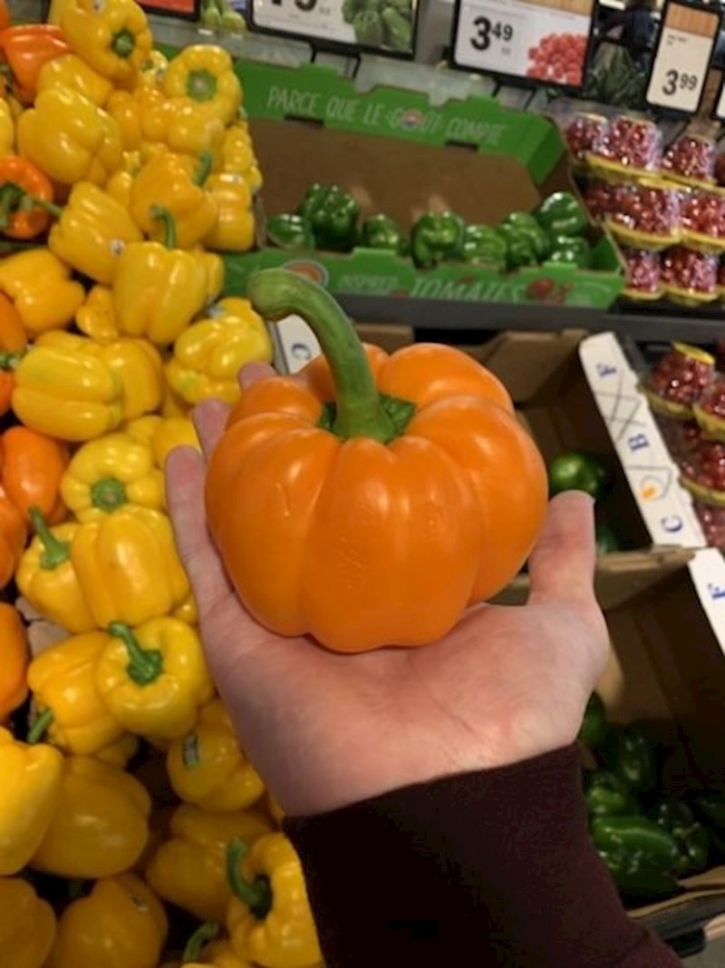 "U supermarketu sam vidio papriku koja izgleda kao mini bundeva."