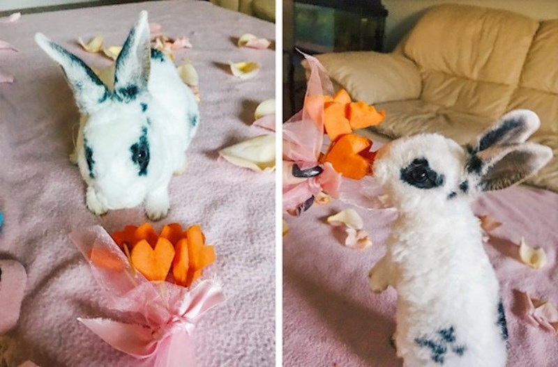 "Njegova djevojka više nije s nama pa sam mu odlučila malo popraviti raspoloženje. Napravila sam mu buket od mrkvica."