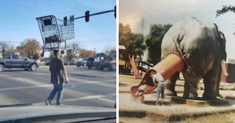 20 slučajeva kad su ljudi slikali nešto što je istovremeno i zanimljivo i totalno bizarno