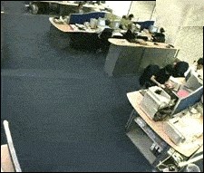 Posao u uredu ne može biti dosadan kada imate ovakve radne kolege