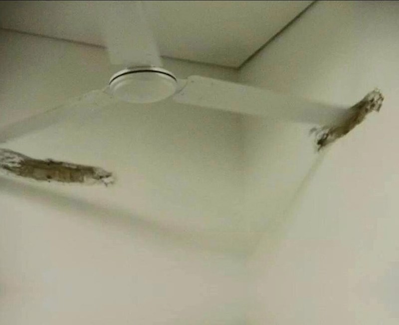 Ovaj ventilator ne odustaje od borbe.