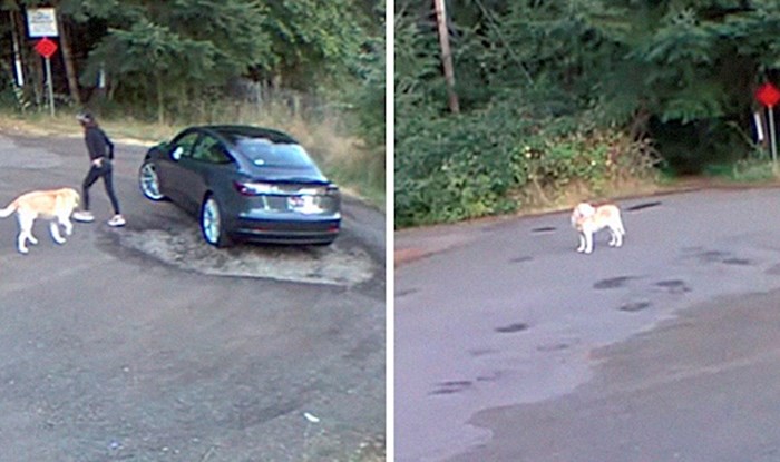 Srceparajuća snimka pokazuje kako je labrador mahao repićem dok ga je vlasnica ostavljala